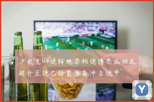 沙尔克04逆转绝杀帕德博恩成功反超升至德乙榜首准备冲击德甲