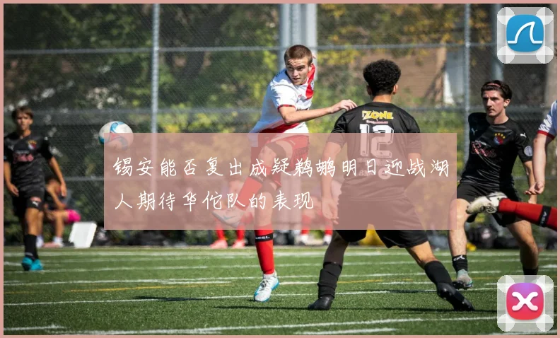 锡安能否复出成疑鹈鹕明日迎战湖人期待华佗队的表现